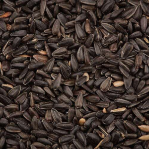 SUNFLOWER SEEDS HAPPY